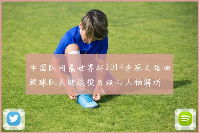 中国队问鼎世界杯2014夺冠之路回顾球队关键战役与核心人物解析