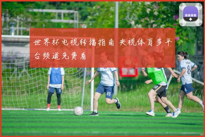 世界杯电视转播指南 央视体育多平台频道免费看