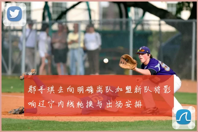 鄢手琪去向明确离队加盟新队将影响辽宁内线轮换与出场安排