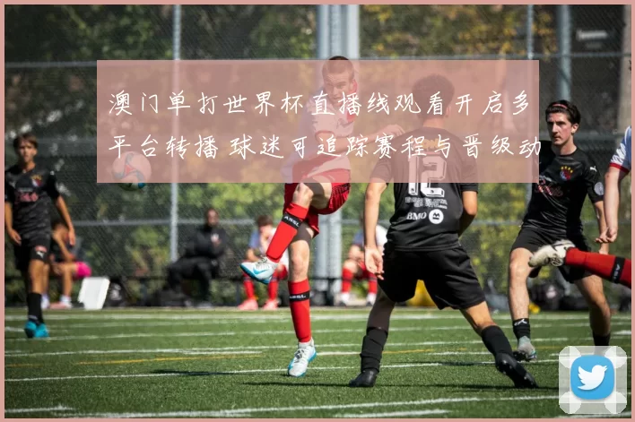 澳门单打世界杯直播线观看开启多平台转播 球迷可追踪赛程与晋级动态